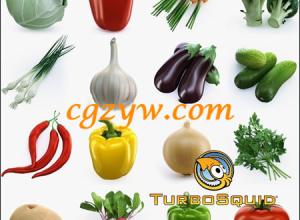 14种蔬菜C4D模型 TurboSquid – Collection of Vegetables