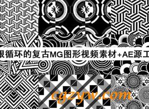 VideoHive 黑白复古绚丽花纹图形视频素材+AE工程