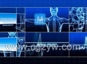 AE模板-医疗人体透视包装动画展示模板