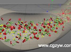 C4D血液红细胞流动教程 Animating a Blood Flow