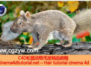 C4D制作松鼠毛发精品教程附工程文件 Hair tutorial cinema 4d