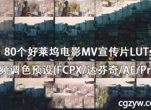 80组LUTs好莱坞电影胶片MV宣传片LUTs视频调色预设(FCPX达芬奇AEPrPs)
