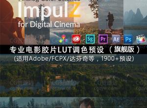 VisionColor ImpulZ LUTs专业电影胶片LUT调色预设(AEFCPX达芬奇)
