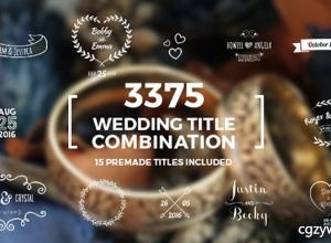 AE模板-优雅小清晰婚礼字幕标题组合包纪念日周年庆典情人节标题介绍展示