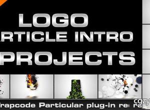 AE模板-粒子汇聚飘散企业公司Logo文字动画展示 Logo Particle Intro (8in1) 免费下载