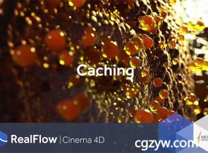 C4D插件-流体动力学模拟插件Realflow For Cinema 4D v1.0.2 Win/Mac破解版支持C4D R18 免费下载