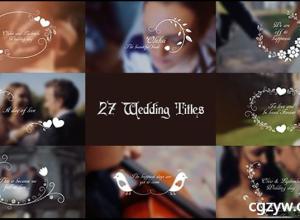 AE模板-优雅现代简约藤条花环婚礼人名字幕条文字标题动画