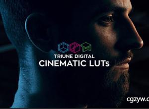 300组(FCPX达芬奇AEPrps)LUTs电影大片风格调色预设 Triune Digital Cinematic LUTs