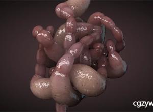 灰猩猩C4D教程-制作粘糊糊的动态肠子Making Some Slimy Guts in Cinema 4D