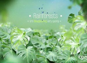 AE模板-绿色环保宣传片头蝴蝶植物元素热带雨林标题The Rainforests Titles免费下载
