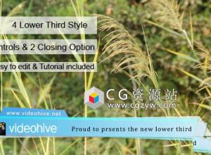 AE模板-简洁广播TV栏目包装底部人名字幕条 Lower Third 免费下载