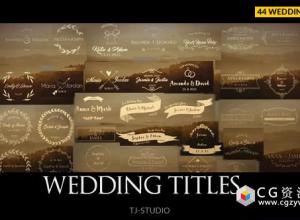 AE模板-44个婚礼标题人名字幕条文字标题动画 Wedding Titles 免费下载