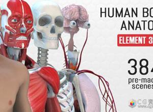 AE模板-E3D三维模型人体解剖健康医疗医学展示动画纪录片