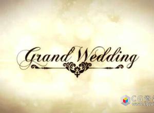 AE模板-婚礼照片相册展示复古回忆片头 Grand Wedding 免费下载