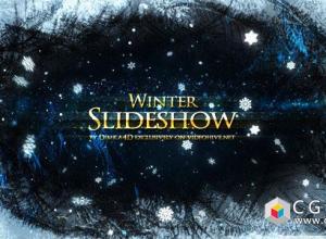AE模板-现代浪漫时尚美丽冬天雪花家庭相册照片展示 Winter Slideshow