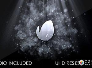 AE模板-4K黑白经典粒子能量波冲击Logo展示 Elegant Logo Reveal 免费下载