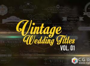AE模板-复古婚礼视频介绍文字标题动画 Vintage Wedding Titles vol01免费下载