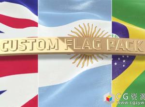 AE模板-E3D自定义标志包国旗飘动动画 Custom Flag Pack 免费下载