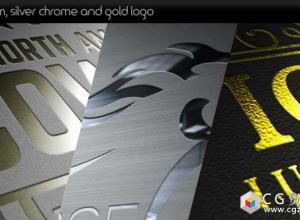 AE模板-优雅logo片头铂金银色镀铬和金色标志Platinum Silver Chrome and Gold Logo 免费下载