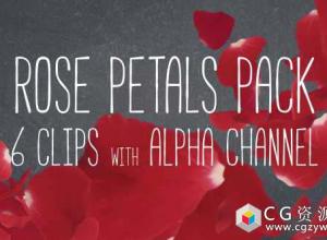 视频素材-浪漫情人节婚礼玫瑰花瓣漂落心形花转场素材Rose Petals Pack
