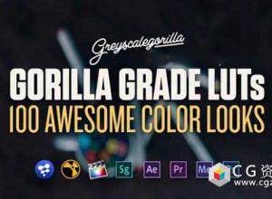 灰猩猩出品的100组电影级LUTs调色预设GreyScaleGorilla – Grade LUTs