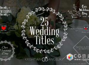AE模板-25组复古徽章婚礼浪漫文字标题动画 Wedding Titles