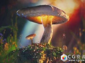 C4D与Megascans和Octane制作唯美真实蘑菇自然环境三维场景