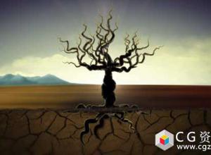 AE模板-生命之树标志片头沙漠成长贫穷生活环保主题宣传Tree Of Life