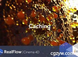 C4D插件-流体动力学模拟插件RealFlow C4D 2.0.1.0040 Win/Mac替换破解版支持C4D R18 免费下载