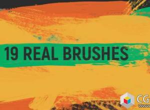 视频素材-19组水墨笔刷遮罩视频转场过渡素材19 Real Brushes