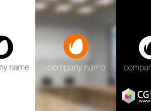 AE模板-公司企业优雅扁平化标志水圈logo动画Water Circles Logo Reveal