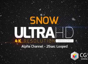 视频素材-4K带Alpha通道循环真实下雪高清素材Snow