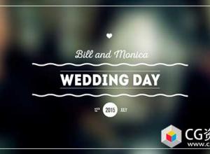 AE模板-11组徽章婚礼文字标题视频介绍动画 Wedding Titles Pack