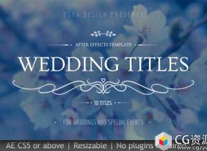 AE模板-浪漫爱情故事回忆婚礼标题动画Wedding Titles