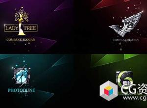 AE模板-创意网状照片墙Logo展示 Photo Mosaic Logo