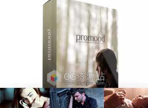 FCPX调色插件55种专业调色处理插件Pixel Film Studios ProMood