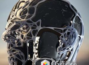Trypogen 1.0 for Cinema 4D镂空平滑细分强调边缘插件