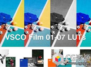 3DLUTs顶级电影胶片Vsco Film LUTs 1-7 预设完整包(AE,PR,FCPX)