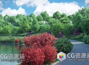 3D树木红橡树红枫树银杏树郁金香树模型(C4D+C4D VRAY格式)CGAxis Models Volume 76 Trees X