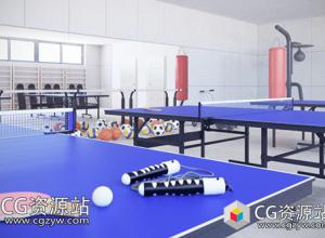 运动器材球拍网球拍足球篮球排球三维模型的集合(C4D/MAX/FBX/OBJ格式)Sport Equipment 3D Models Collection – Volume 88