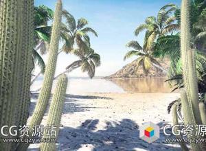 植物三维模型包仙人掌棕榈树(C4D/MAX/FBX/OBJ格式)CGAxis Models Volume 85 Exotic Plants II