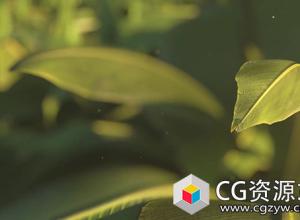 C4D Octane渲染器和AE创建植物树叶合成教程 Cinema 4D and Octane – Texturing and Rendering a Plant Scene Tutorial