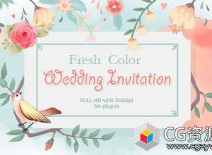 AE模板-多彩现代水彩枝条婚礼邀请片头 Fresh Color Wedding Invitation