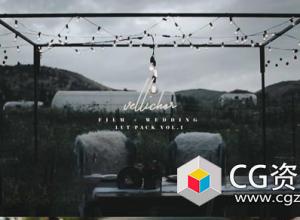 9个欧美电影时尚婚礼视频调色LUTS预设(FCPX/达芬奇/AE/Pr/Ps等)