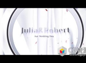 AE模板-典雅婚礼戒指玫瑰幻灯片介绍开场 Wedding Opener