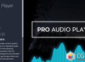 Unity游戏音效集合 Pro Audio Player v1.2