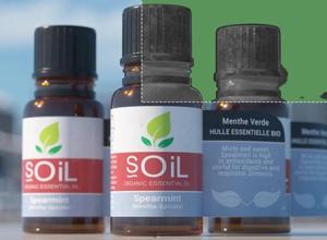 C4D使用自适应采样在Octane中更快速地渲染教程