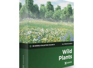 野生植物花朵3D模型 CGAxis – Wild Plants 3D Models Collection Volume 91(C4D/MAX/OBJ/FBX等格式)