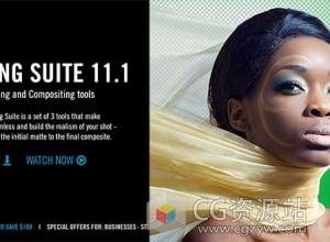 红巨星视频键控抠像插件包Red Giant Keying Suite 11.1.10 WinMac 免费下载