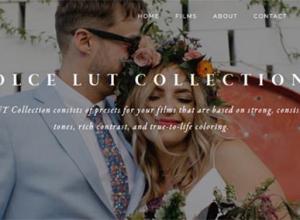 6组柔和欧美风格婚礼LUTs调色预设(AE/Pr/FCPX/达芬奇/PS等)